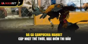 Đá Gà Campuchia Manbet - Cập Nhật Thể Thức, Đặc Điểm Thi Đấu